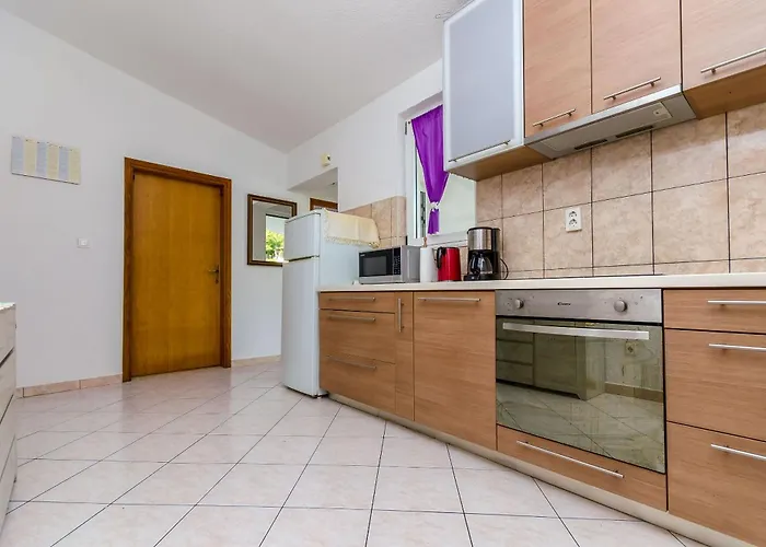 公寓 Vlado 特罗吉尔